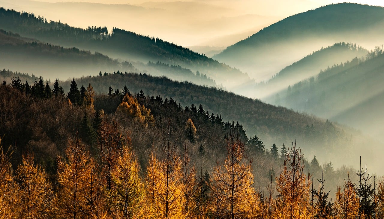 https://pixabay.com/users/22997580